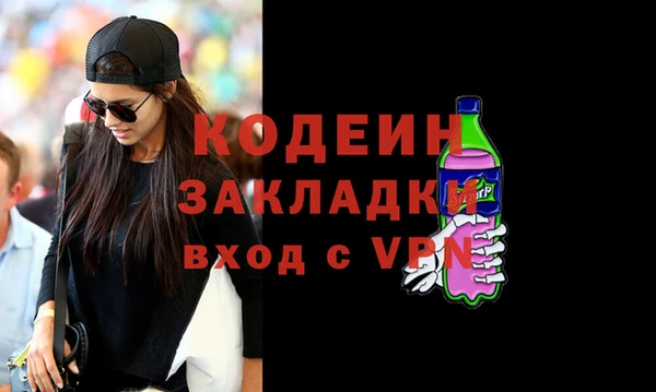 шишки Горно-Алтайск