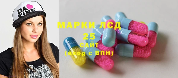 гидра Горнозаводск