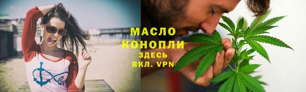 шишки Горно-Алтайск