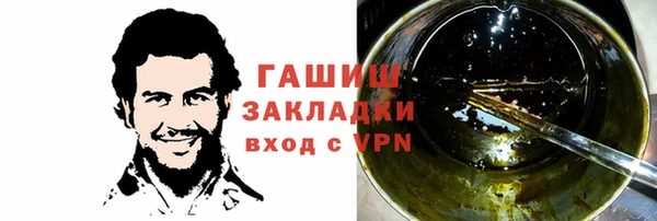 гидра Горнозаводск