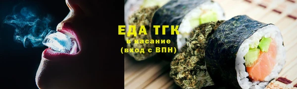шишки Горно-Алтайск
