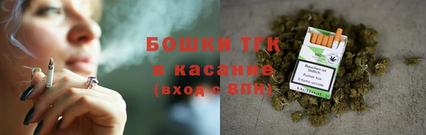 шишки Горно-Алтайск