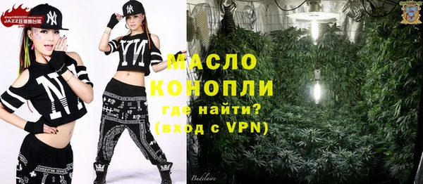 гидра Горнозаводск