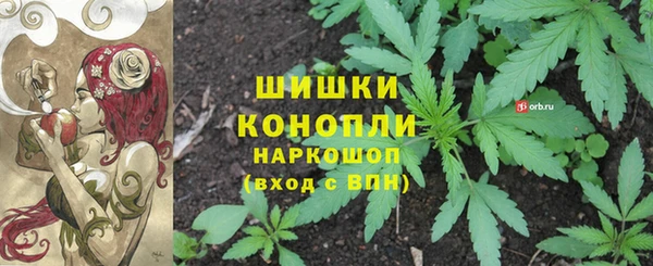 шишки Горно-Алтайск