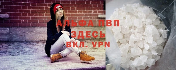 амф Гусев