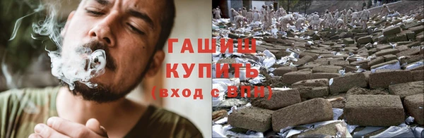 шишки Горно-Алтайск