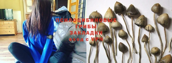 скорость mdpv Горняк